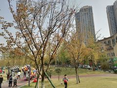 -府河摄影公园