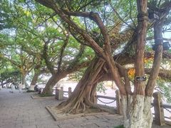 -江心屿景区