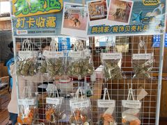-蓝湾碧波·老字号·疍家非遗海上餐厅
