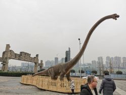 -恐龙探索乐园(磁器口店)