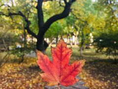-辽宁大学(崇山校区)