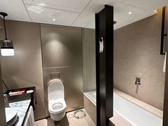 -新加坡瑞士史丹福酒店