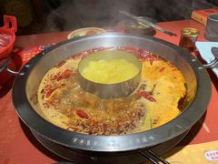 -谭鸭血老火锅(龙湖宝山天街店)