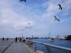 -东港音乐喷泉广场