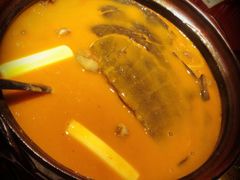红煨甲鱼-潇湘甲鱼村(清河店)
