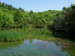 -天目湖山水园