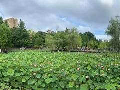 -沐仙湖湿地公园