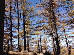 iphone_upload_pic-中影国际影城(大唐西市4K临境音店)
