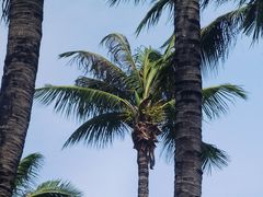 -三亚蜈支洲岛旅游区