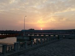 场地-吴淞口国际邮轮码头-停车场