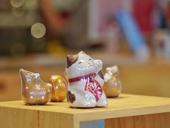 -猫的天空之城概念书店(丽江古城饮玉巷店)