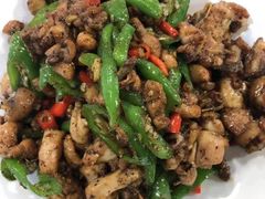 -鑫农家大院(余家头店)