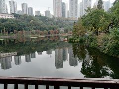 -重庆彩云湖湿地公园