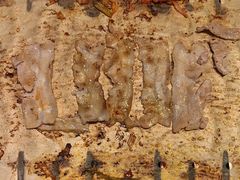 -新石器烤肉(南站店)