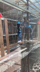 点击看大图 -PIPIKINGDOM皮皮王国欢乐号(欢乐海岸购物中心店)