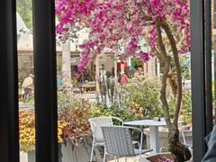 -花神·轻食简餐·咖啡馆·花卉绿植(荷兰花卉小镇店)