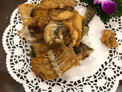 -寻味顺德·南记酒家·传统顺德菜·鱼生(广源路店)