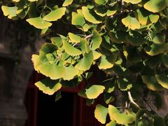 -北京石刻艺术博物馆(五塔寺)
