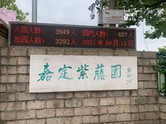 -嘉定紫藤园