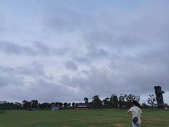 -春花秋色城市公园