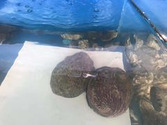 -同乐酒楼(皇后镇店)