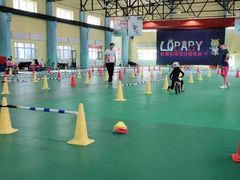 -长春乐奇平衡车儿童体能运动中心