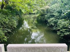 -红梅公园
