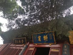 -洛阳白马寺