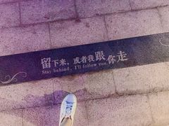 -大塘金香草谷