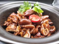 -农乐园食府(梅城镇店)