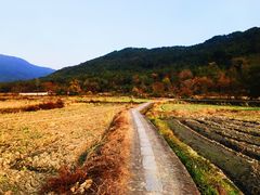 -塔川景区