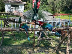 -哈尔滨北方森林动物园