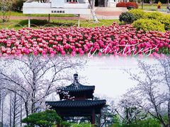 -玄武湖景区-情侣园游乐场