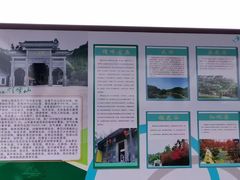 -广州市帽峰山景区