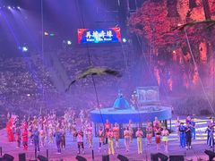 -广州长隆国际大马戏