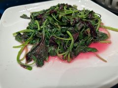 -新南华大酒店(广中店)