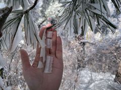 -华山风景名胜区