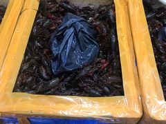 -福田农产品批发市场有限公司蔬菜交易区