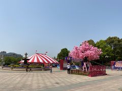 -碧海银沙景区