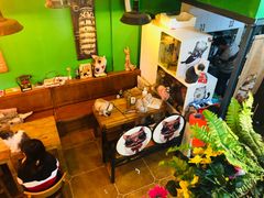 -李小姐の猫咖啡馆(五角场店)