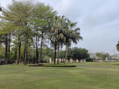 -平安（深圳）金融教育培训中心