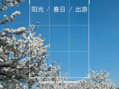 -上海辰山植物园