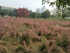 -艾溪湖湿地公园