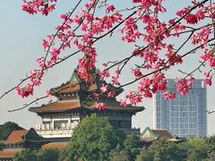 -顺峰山公园