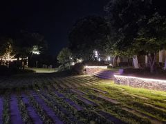 -成都蒲江花样年福朋喜来登度假酒店·宜客乐西餐厅