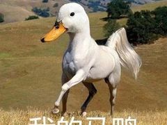 -西安饭庄(立丰国际店)