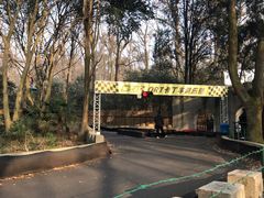 -WeLope紫金山探险公园