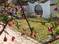 -苏州上方山国家森林公园