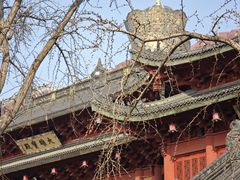 -上海东林寺(金山区)