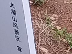 -周震馄饨